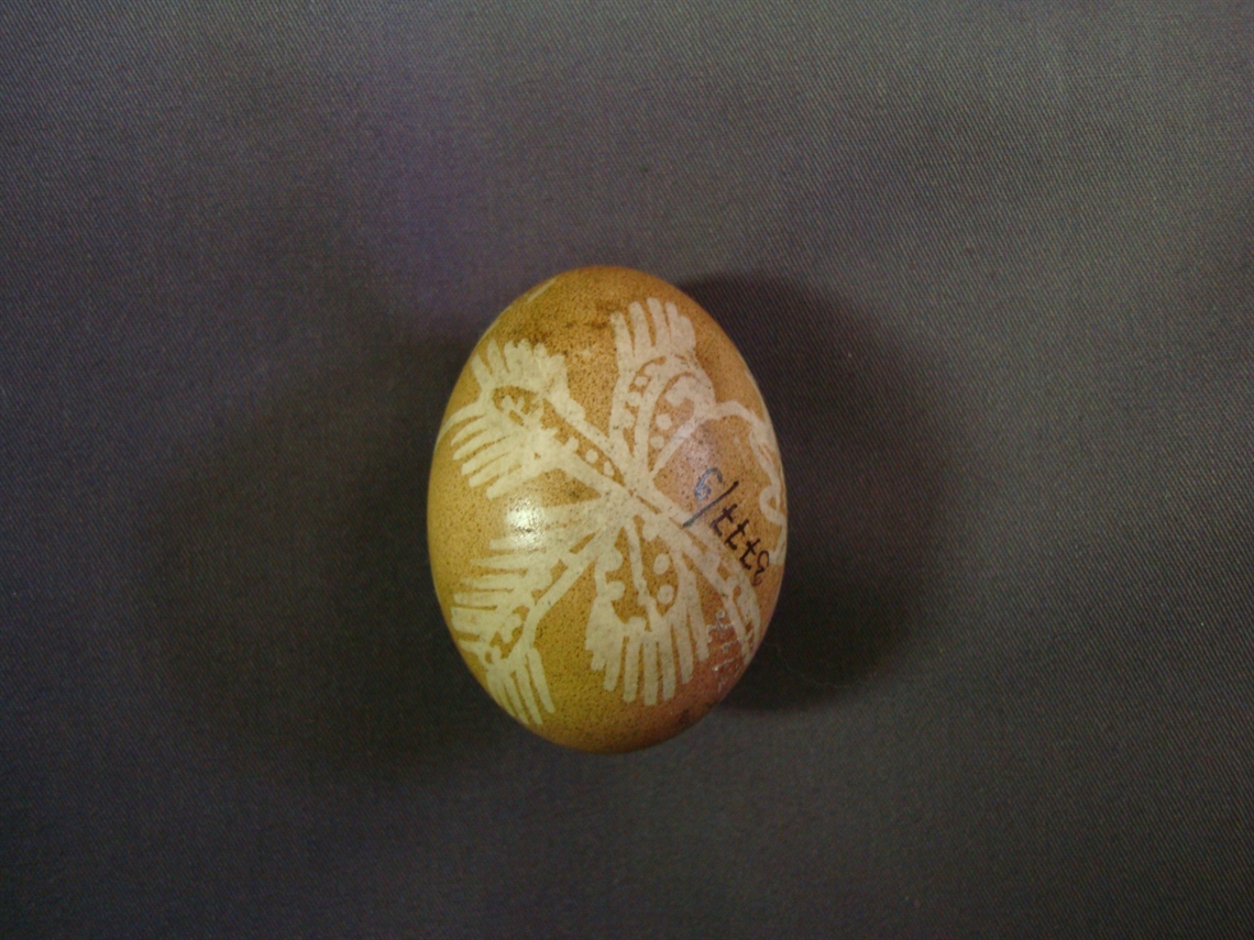 Image description